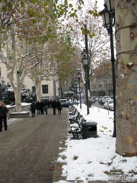 Tbilisi, decembrie 2008 | 5